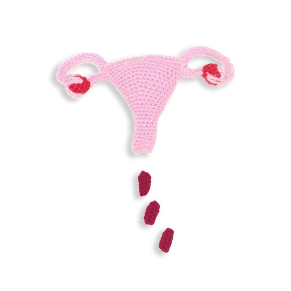 Cuterus - Teaching Aid - Image 2