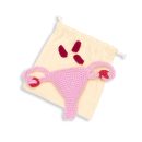 Cuterus - Teaching Aid